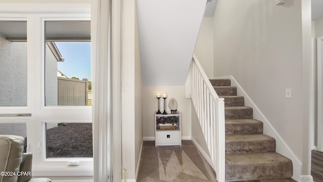 staircase with carpet flooring