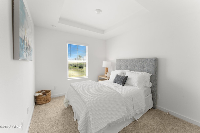 carpeted bedroom featuring a raised ceiling