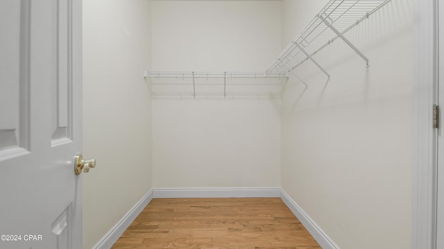 spacious closet featuring light wood-type flooring