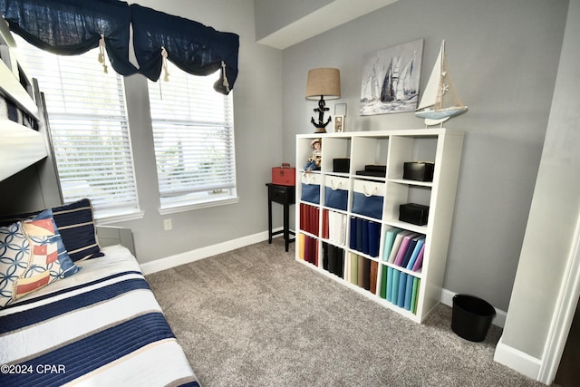 bedroom featuring carpet floors