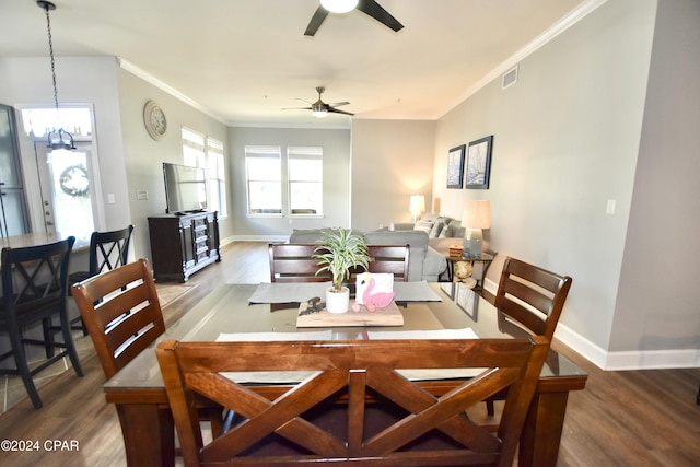 dining room featuring dark wood-type flooring, ceiling fan with notable chandelier, and ornamental molding