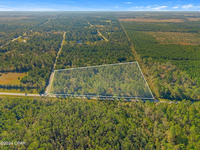 TBD Luke Ford Rd, Wewahitchka FL, 32465 land for sale