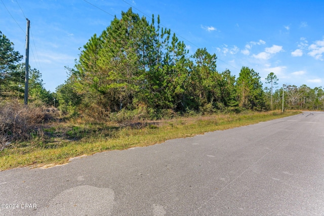 Listing photo 3 for TBD Luke Ford Rd, Wewahitchka FL 32465