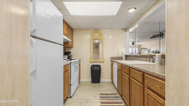 kitchen with ceiling fan, sink, white appliances, a paneled ceiling, and light wood-type flooring