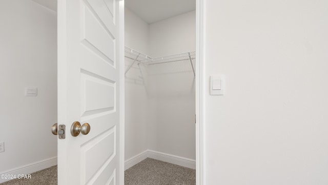 walk in closet with carpet