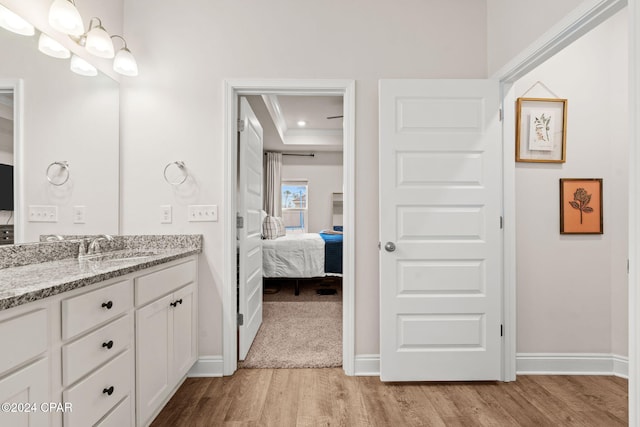 bathroom with hardwood / wood-style floors, vanity, and a raised ceiling