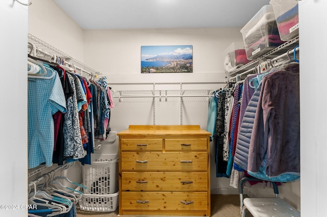 walk in closet with carpet floors