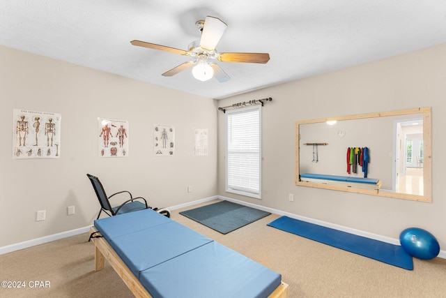 workout area featuring carpet flooring and ceiling fan