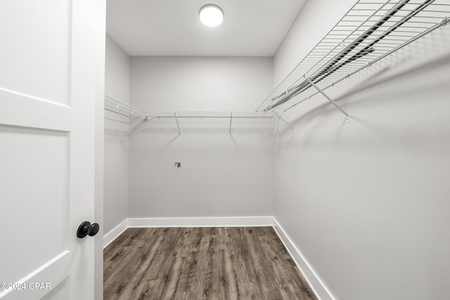 spacious closet with hardwood / wood-style floors