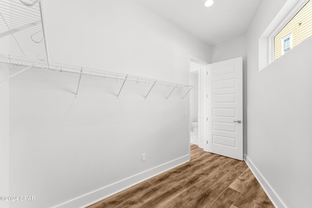 spacious closet with hardwood / wood-style floors