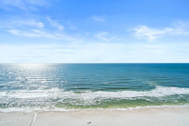 view of water feature featuring a beach view