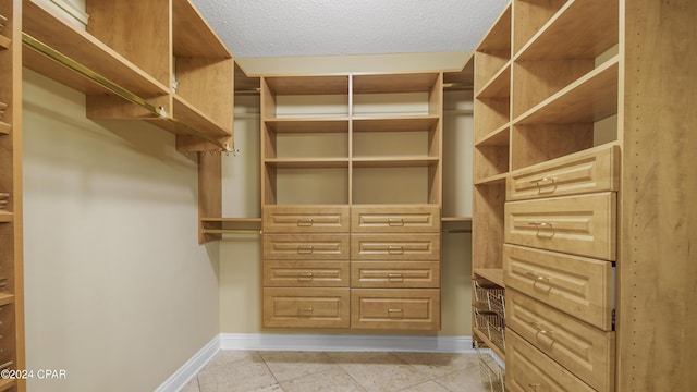 view of spacious closet