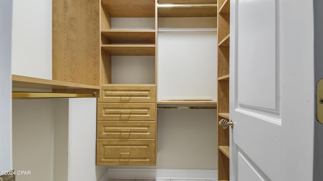 view of spacious closet