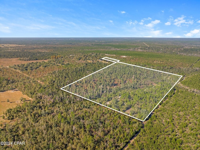 TBD NW Cr-274, Altha FL, 32421 land for sale