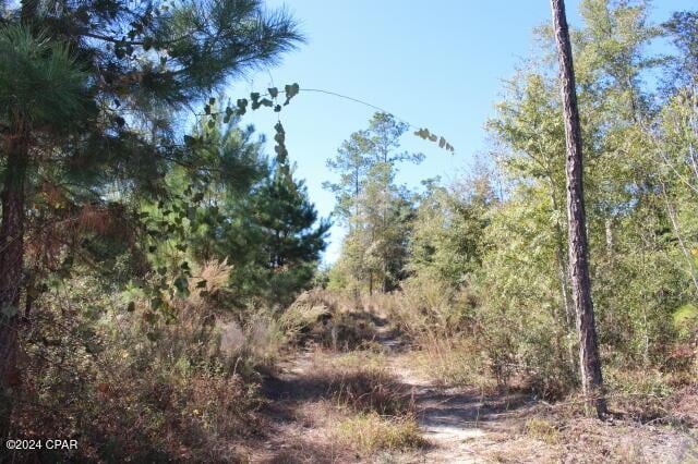 0 Davenport Rd, Marianna FL, 32448 land for sale