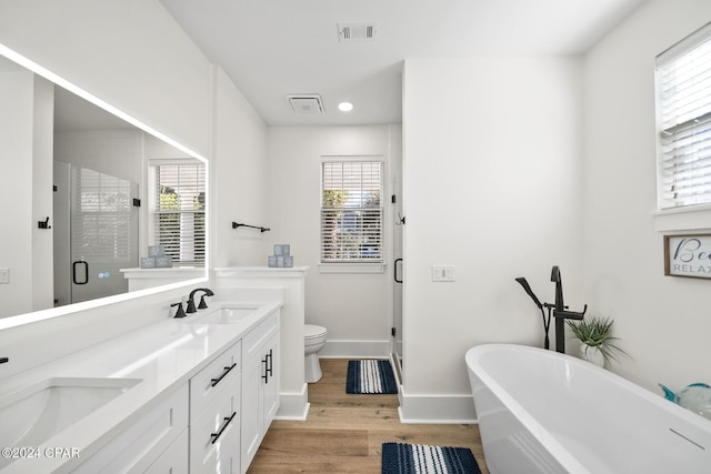 full bathroom with plenty of natural light, separate shower and tub, wood-type flooring, and vanity