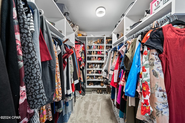 spacious closet with carpet floors