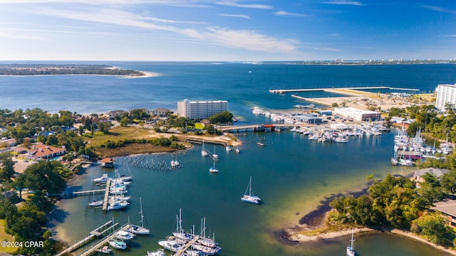 aerial view with a water view