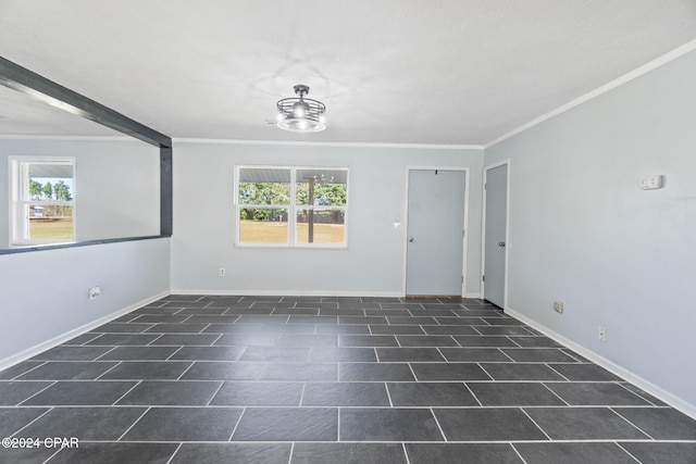 spare room with crown molding and plenty of natural light