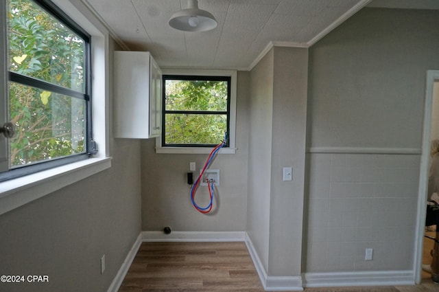 laundry room featuring washer hookup, plenty of natural light, and hardwood / wood-style floors