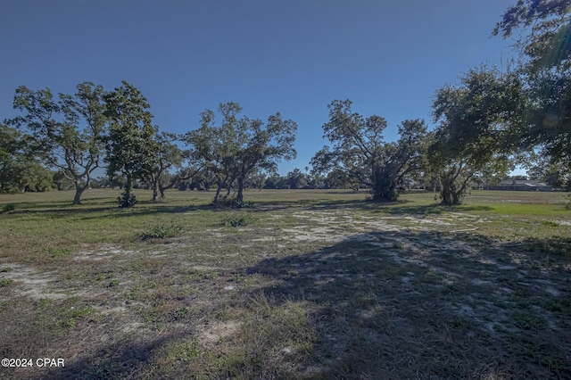 view of yard with a rural view