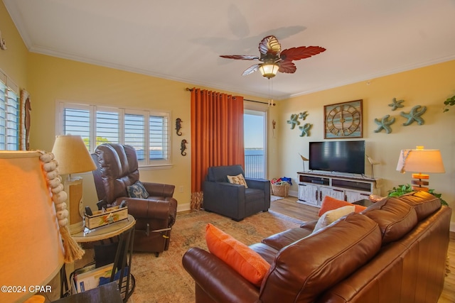 living room featuring ceiling fan, light hardwood / wood-style floors, and crown molding