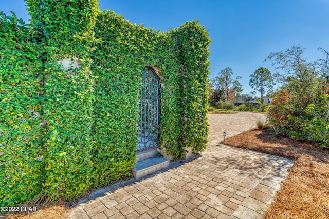 3730 Preserve Bay Blvd, Panama City, FL 32408 - view of patio