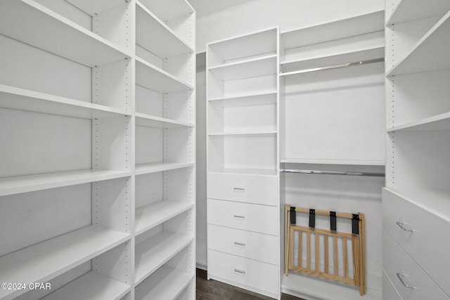 walk in closet with dark wood-type flooring