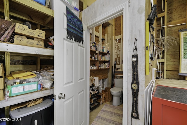 interior space featuring toilet