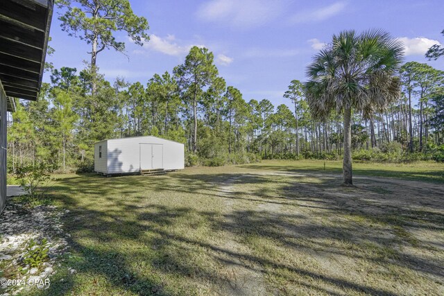 view of yard featuring a storage unit