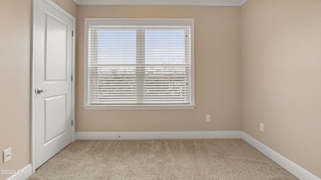 carpeted empty room with ornamental molding