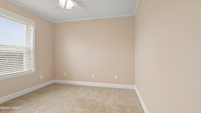 unfurnished room featuring ceiling fan, ornamental molding, and light carpet