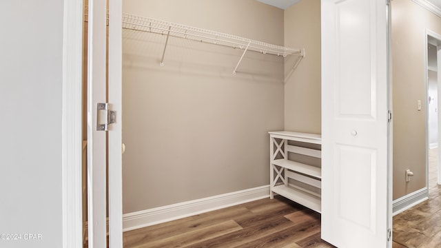 spacious closet featuring dark wood-type flooring