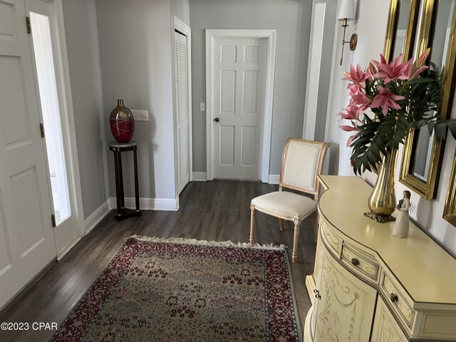 entryway with dark wood-type flooring