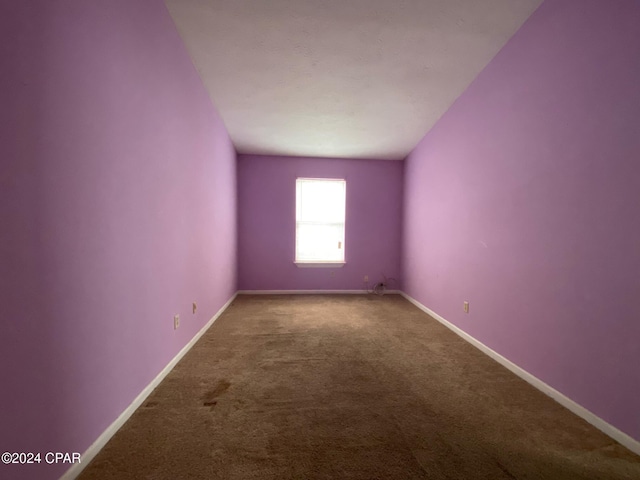 empty room featuring carpet floors