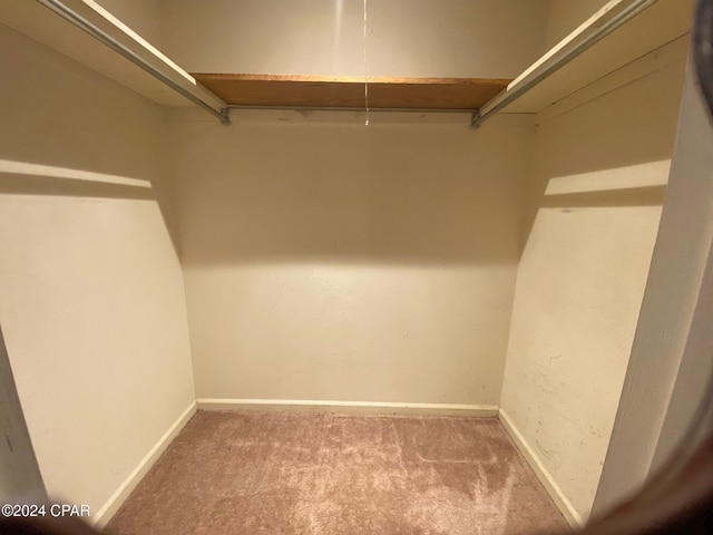 walk in closet featuring carpet floors