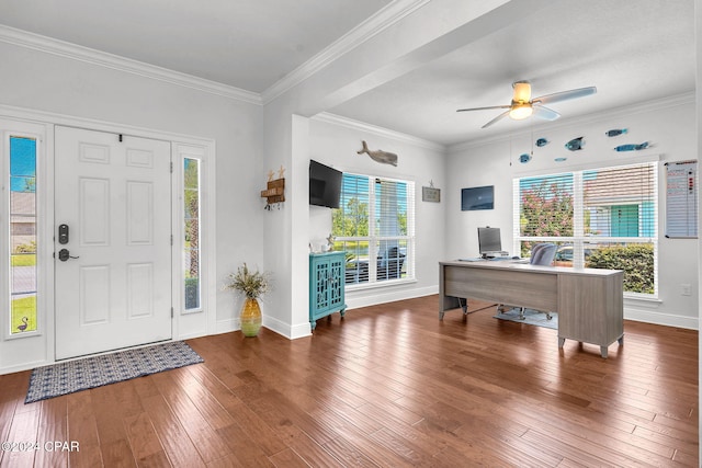 entrance foyer featuring ceiling fan, dark hardwood / wood-style flooring, and ornamental molding