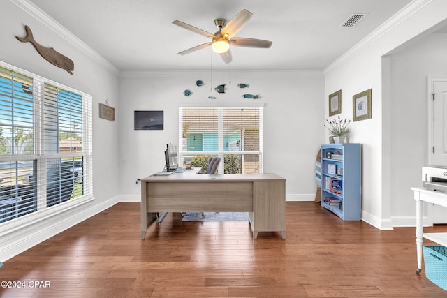 office with ceiling fan, dark hardwood / wood-style flooring, and crown molding