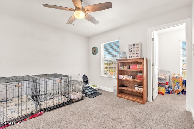 misc room with ceiling fan and carpet