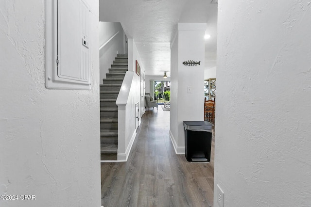 corridor with dark hardwood / wood-style flooring and electric panel