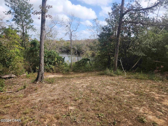 view of yard with a water view