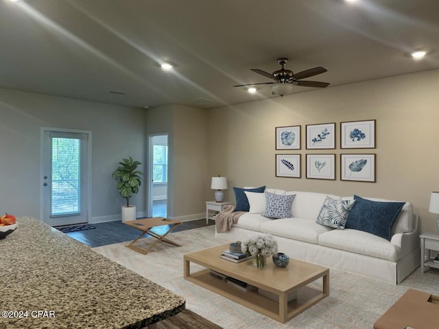 living room with ceiling fan and wood-type flooring