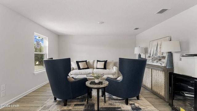 living room featuring hardwood / wood-style floors