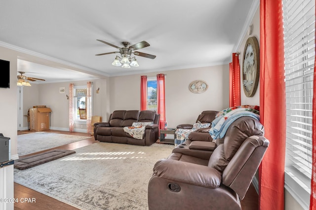 748 3rd St, Chipley, FL 32428 - living area with a ceiling fan, crown molding, wood finished floors, and baseboards