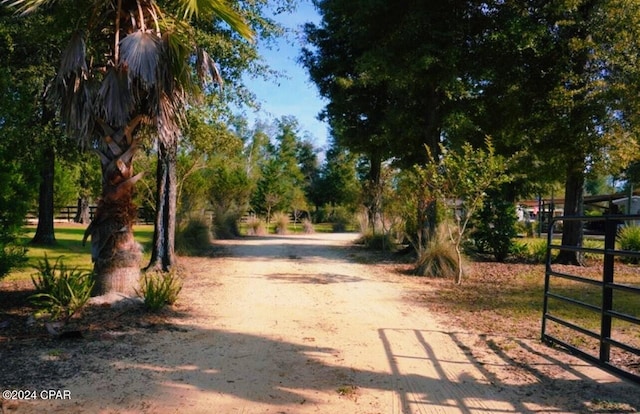 view of street