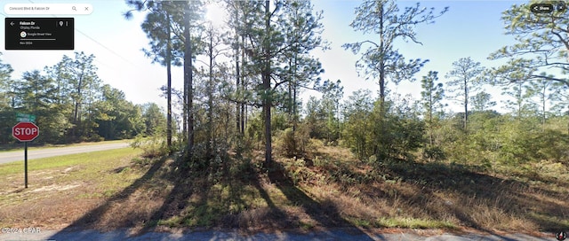 Listing photo 3 for 0038 Concord Blvd Lot20 Blk, Chipley FL 32428