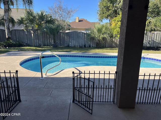 view of pool with a patio