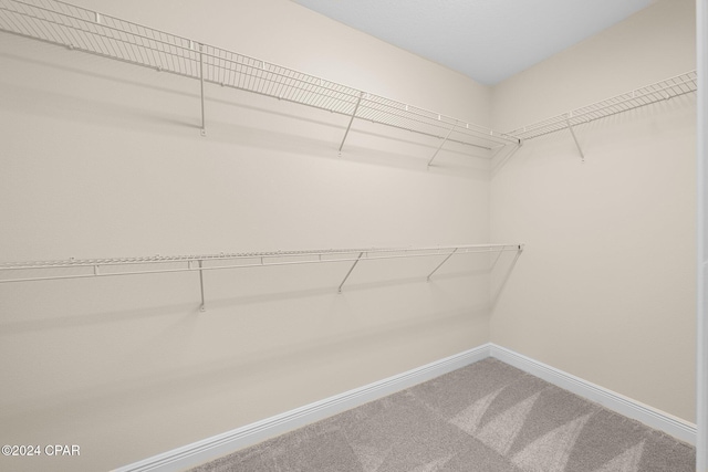 walk in closet featuring carpet flooring