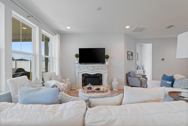 living room with a premium fireplace and hardwood / wood-style flooring