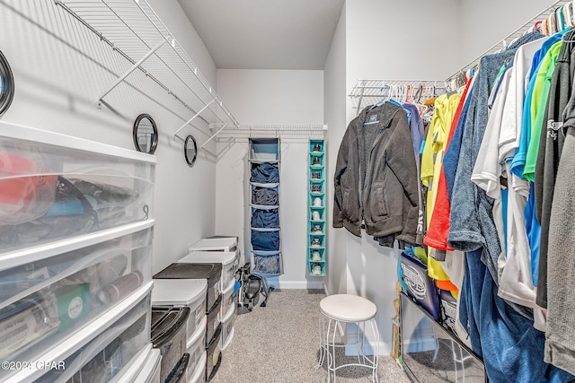 spacious closet featuring carpet